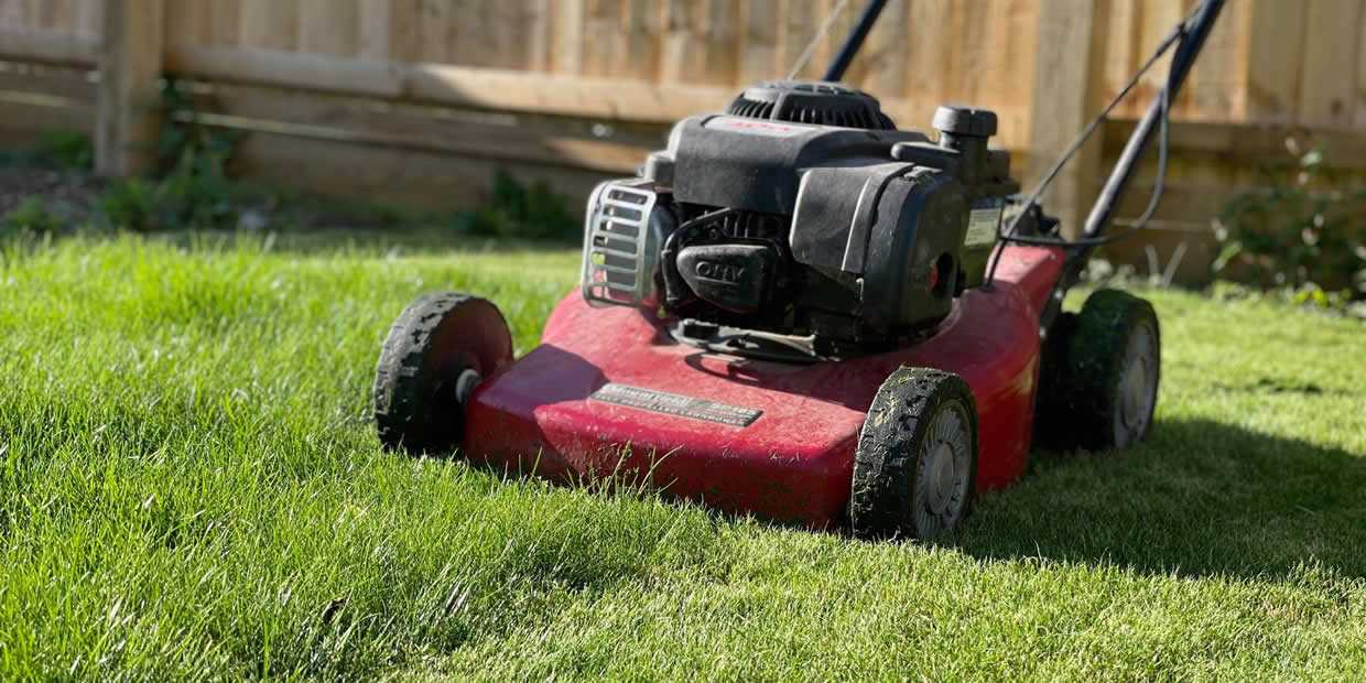 What's the best discount petrol lawn mower